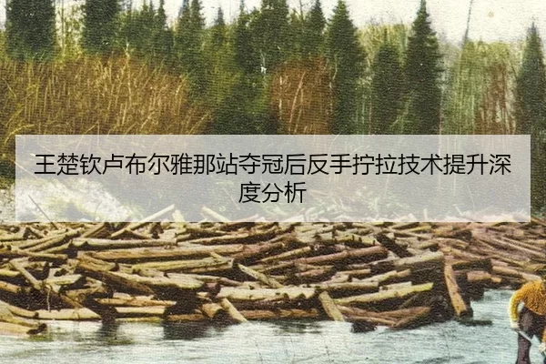 wang-chu-qin-lu-bu-er-ya-na-zhan-duo-guan-hou-fan-shou-ning-la-ji-shu-ti-sheng-shen-du-fen-xi-2-885.jpg